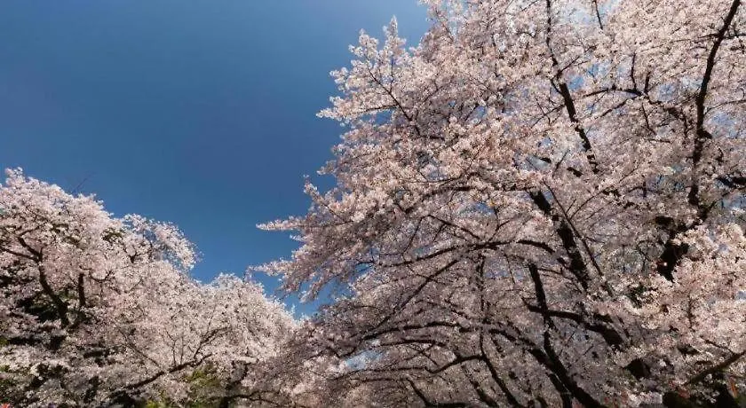 Hotel Bougainvillea Minowa Tokyo